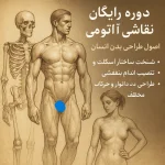 نقاشی آناتومی بدن 1 رایگان  Body anatomy