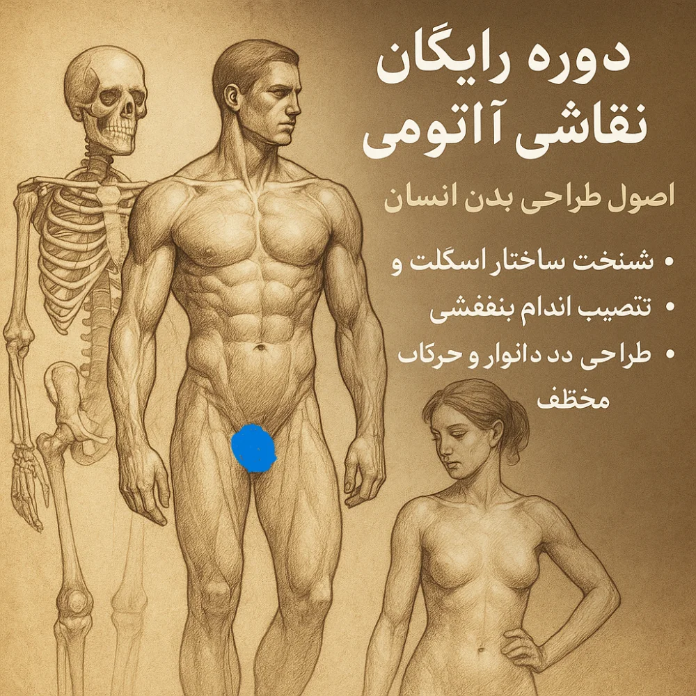 آناتومی